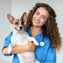 Veterinary staff member holding a happy terrier before spay/neuter surgery