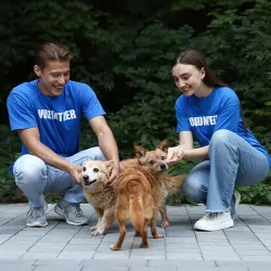 Two volunteers playing with dogs available for adoption