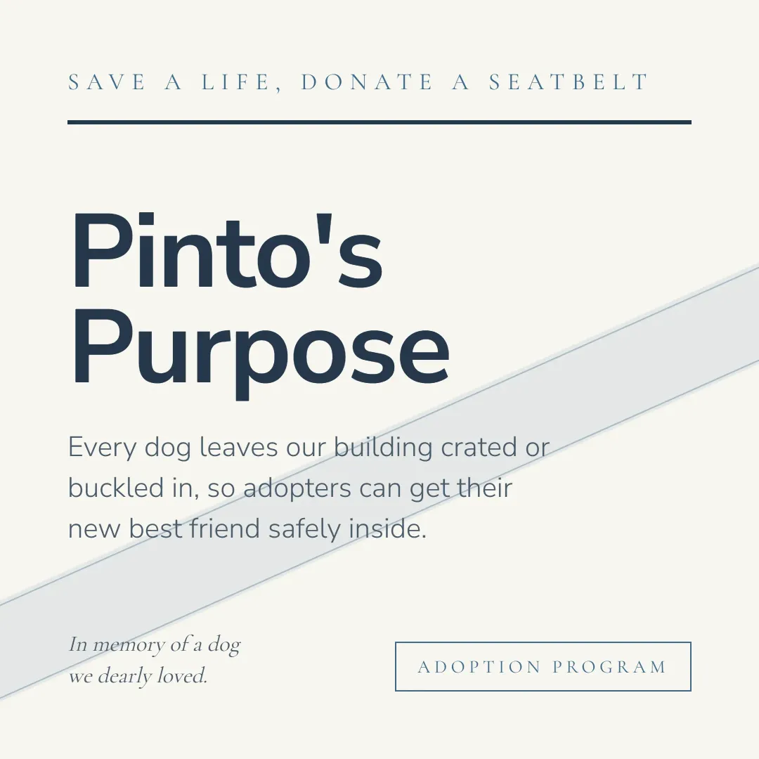 Pinto's Purpose