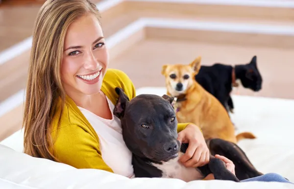 Pet Adoption